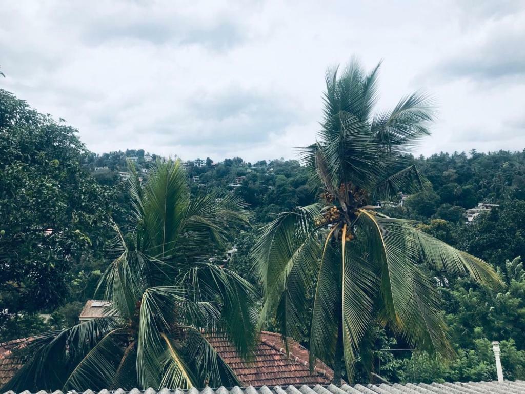 Luxury Apartment The Walkers Nest Kandy Exterior foto